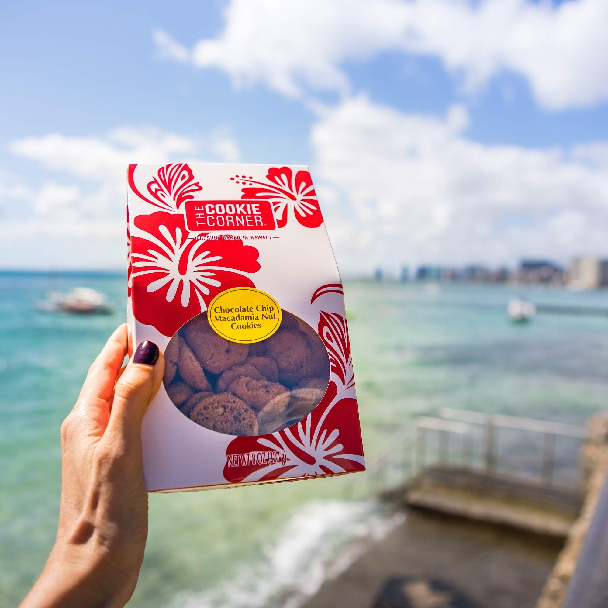 Island Style Bite Size Chocolate Chip with Macadamia Nuts – Cookie